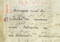Codex St. Gallen.jpg